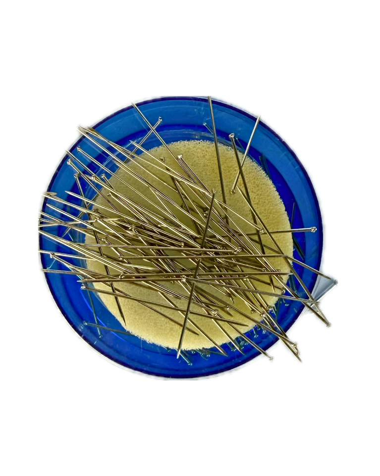 Common Pins